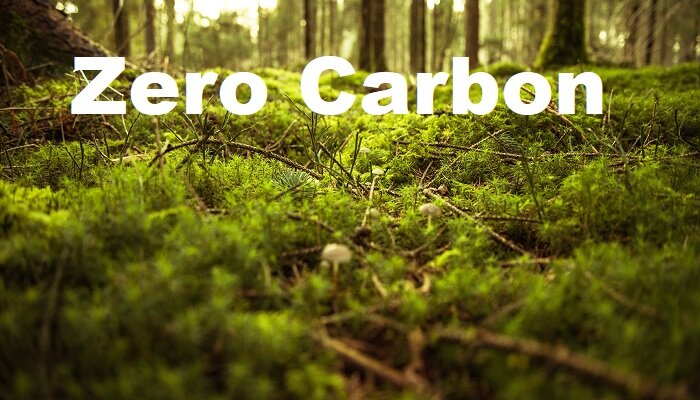 Zero-Carbon: Making Imprint In Green Industrial Revolution