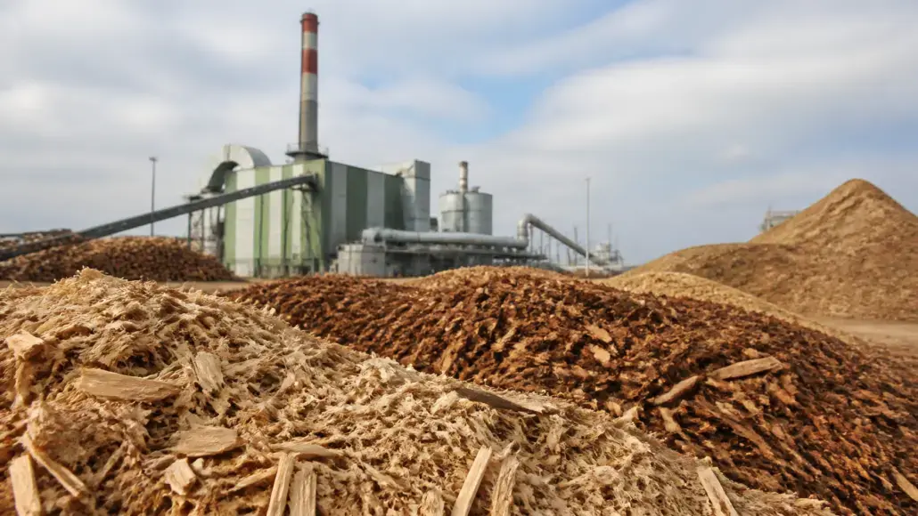 Optimizing Biomass Fuel Quality for Better Combustion