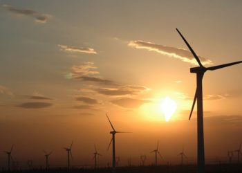 China dominates global wind power industry in 2020