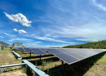 LONGi Dominates Thailand Market as 182mm Module Leader