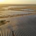 Spains Audax posts lower Q1 profit in part due to COVID-19
